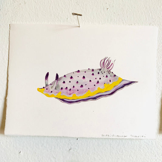Mexichromis