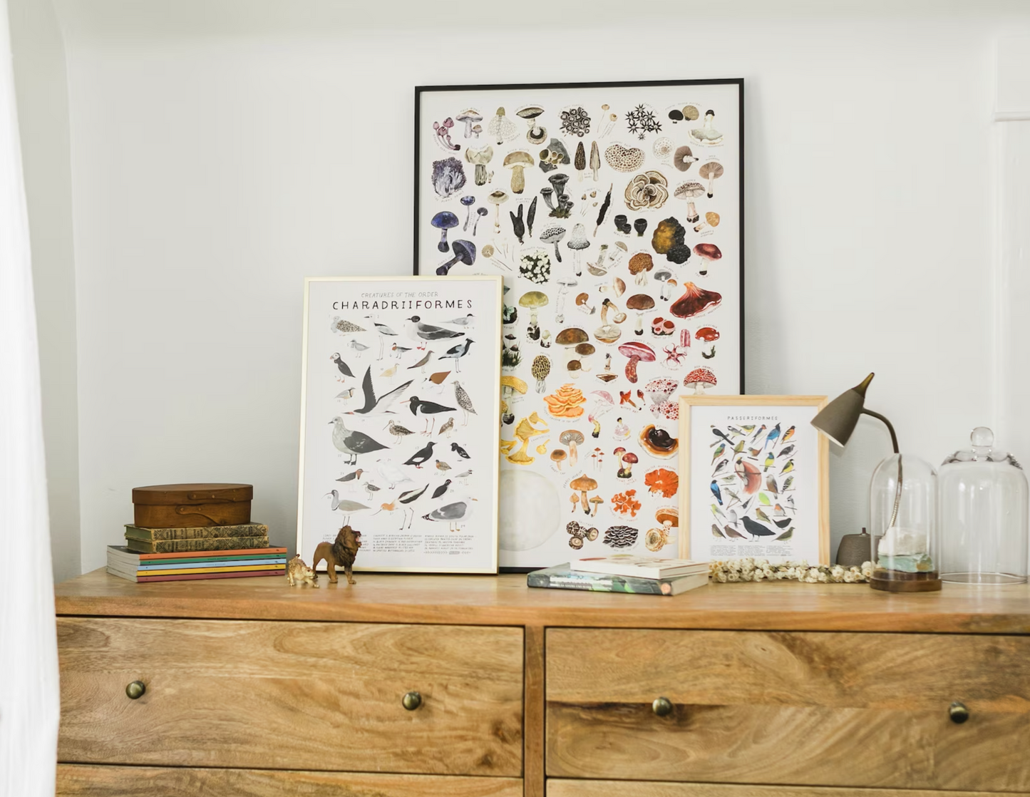 Rainbow of Minerals art print