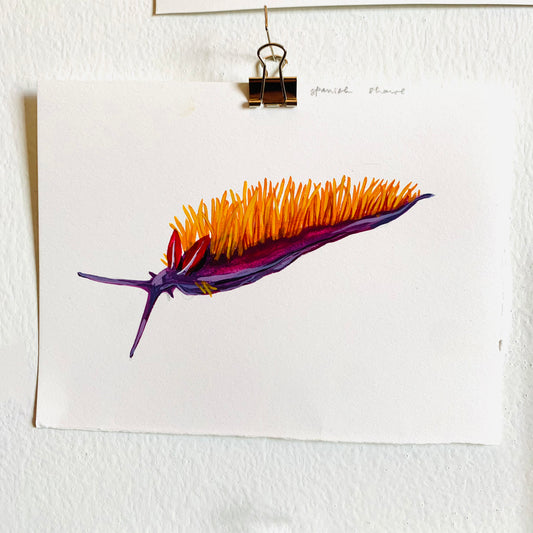 Spanish shawl