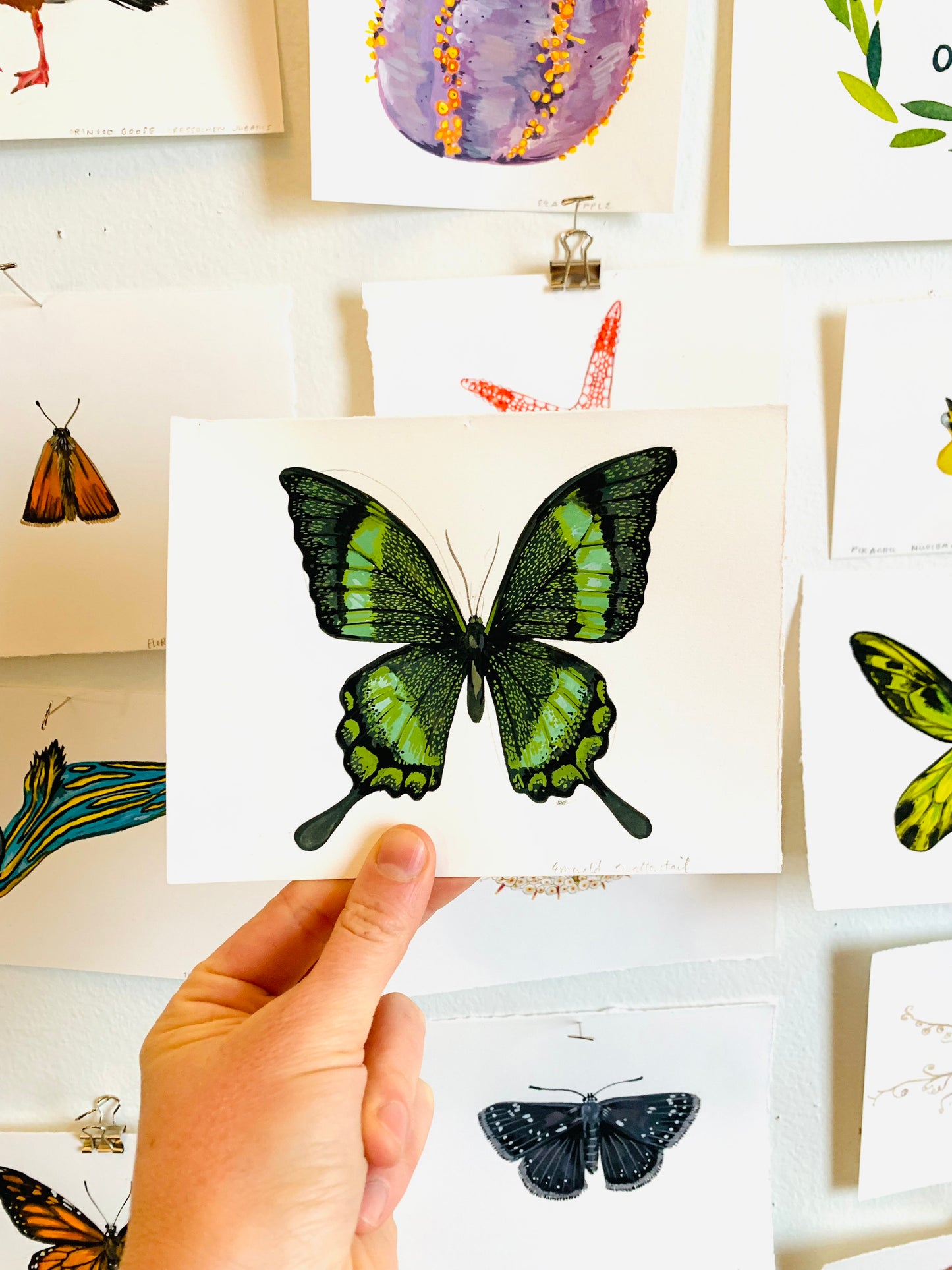 Emerald swallowtail- original painting