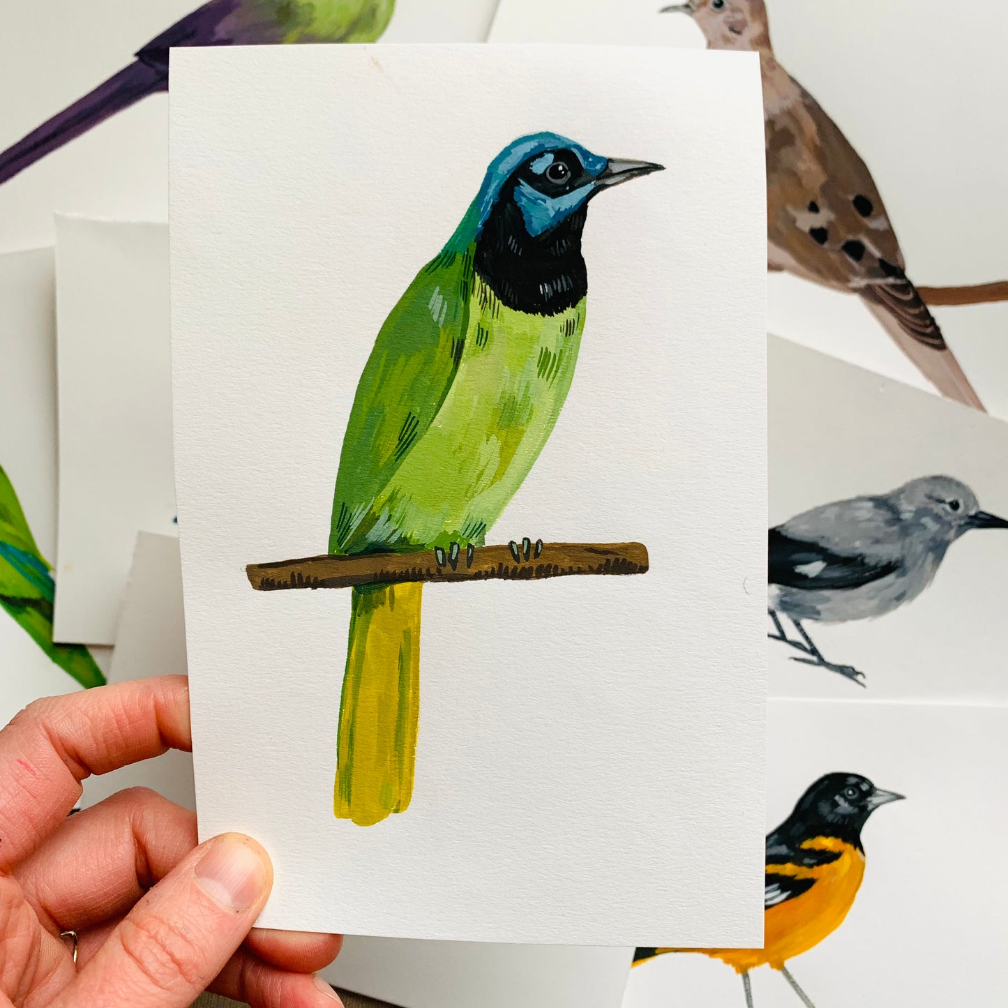 Green Jay- original painting