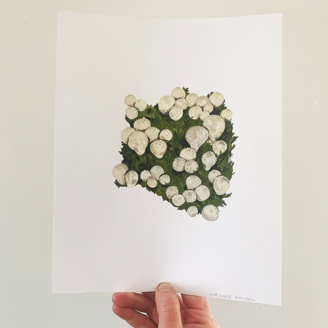 Little puffballs - Original gouache painting