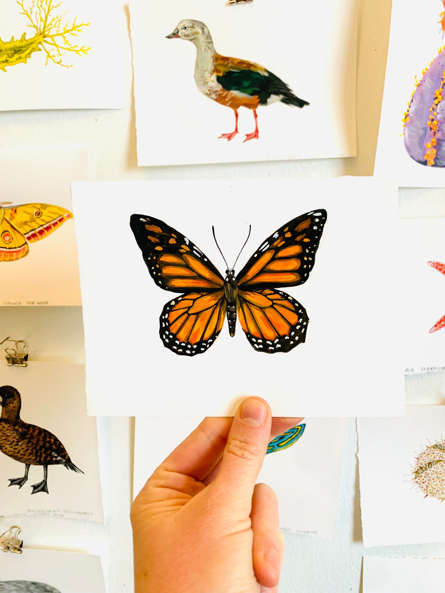 Monarch butterfly- original painting