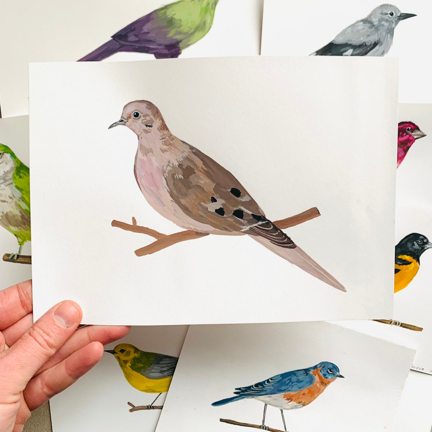 Mourning dove- original painting