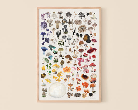 Rainbow of Mushrooms art print
