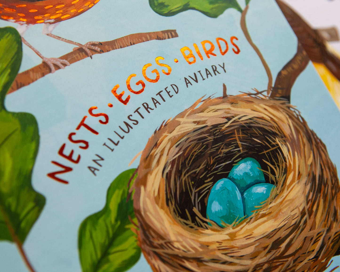 Nests, Eggs, Birds: An Illustrated Aviary (signed copy)