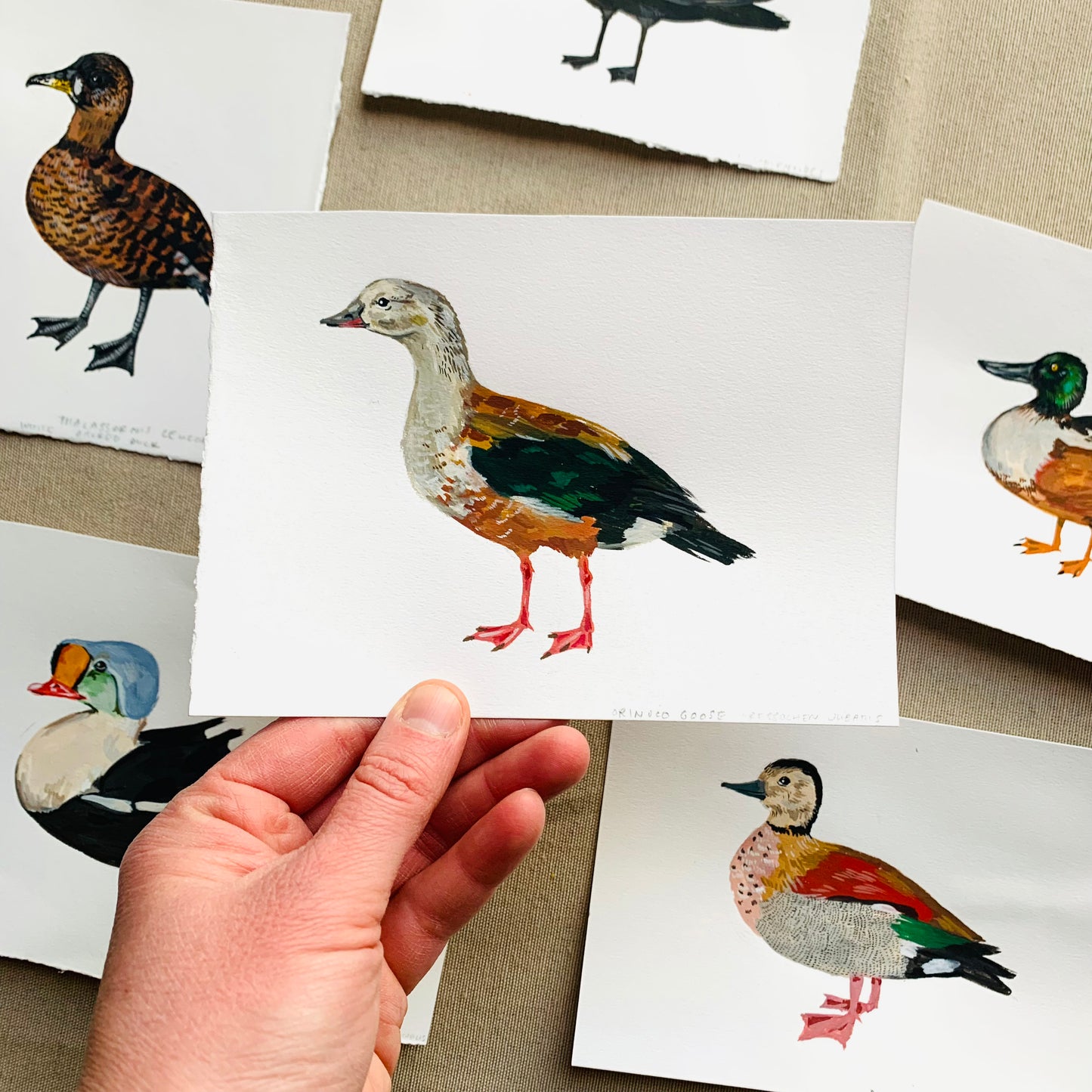 Orinoco goose- original painting