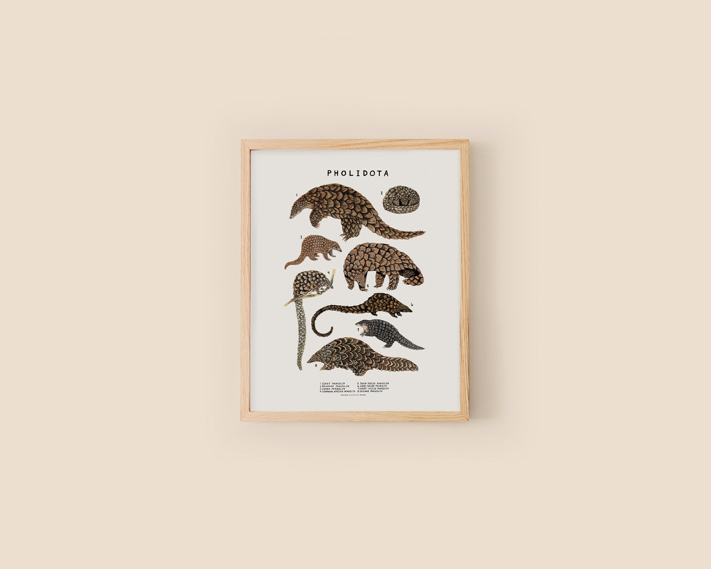 Pangolins art print- Creatures of the Order Pholidota