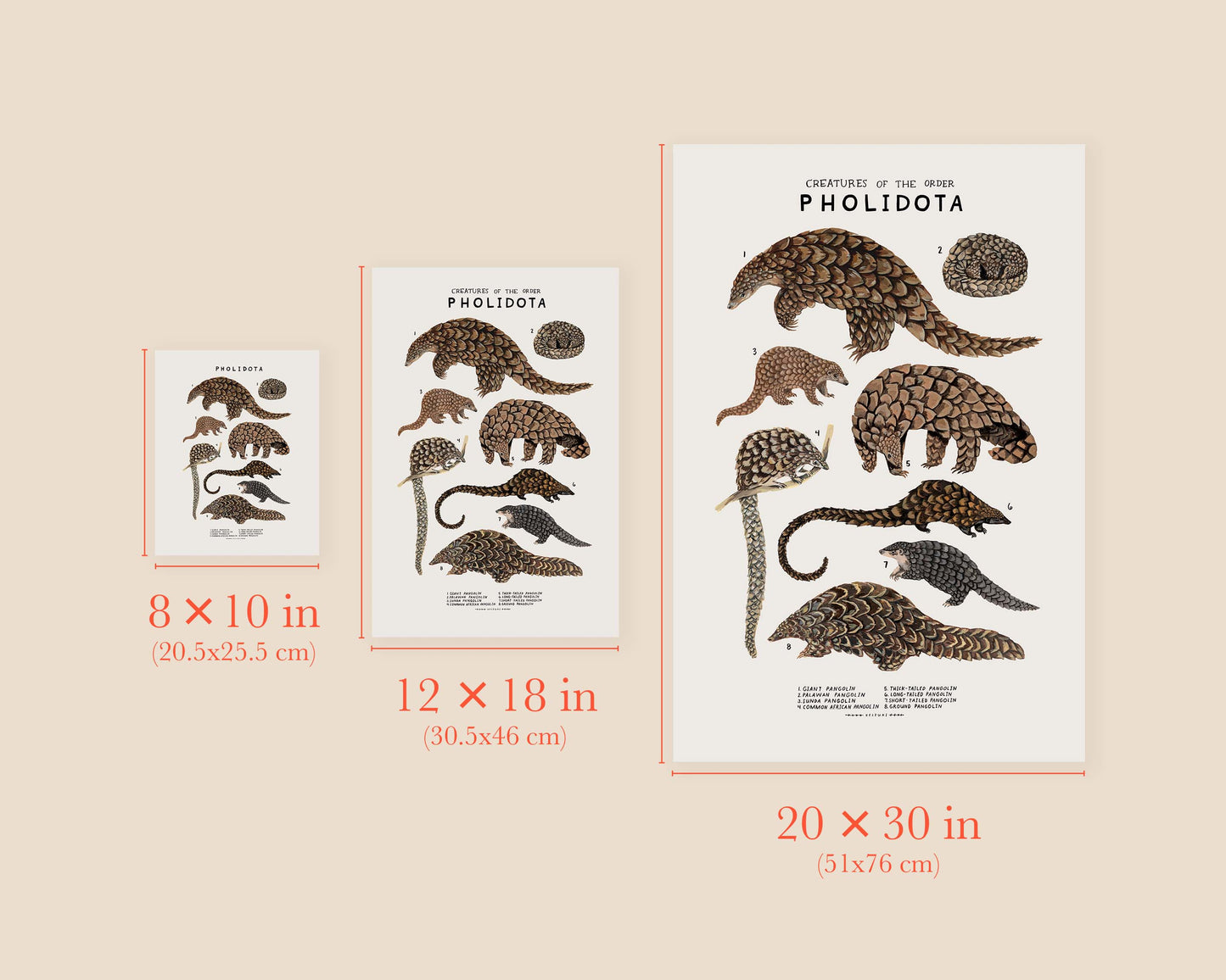 Pangolins art print- Creatures of the Order Pholidota