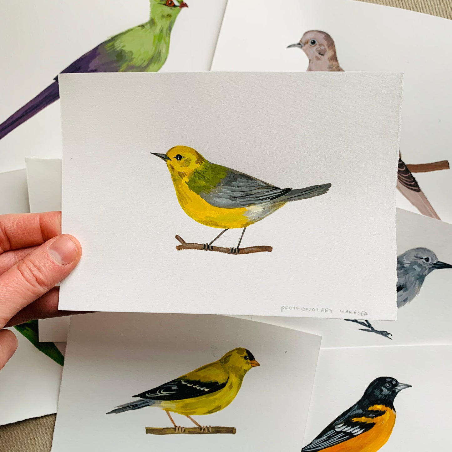 Prothonotary warbler- original painting