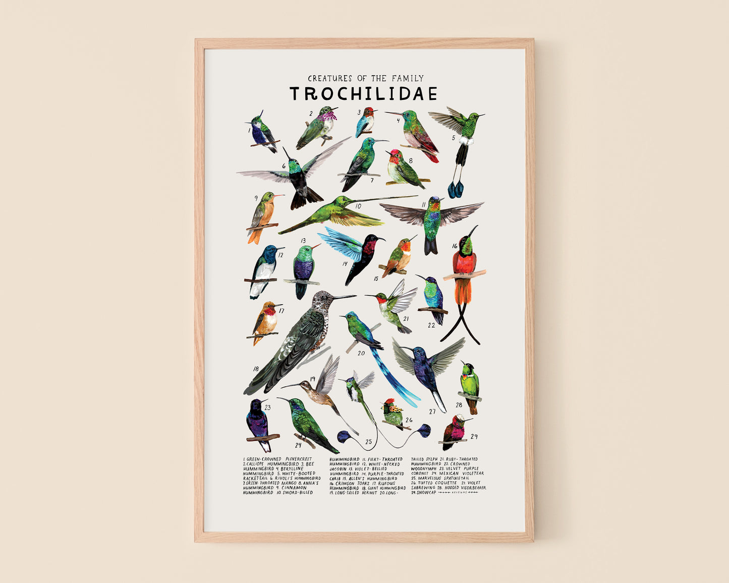 Hummingbirds art print- Creatures of the Family Trochilidae