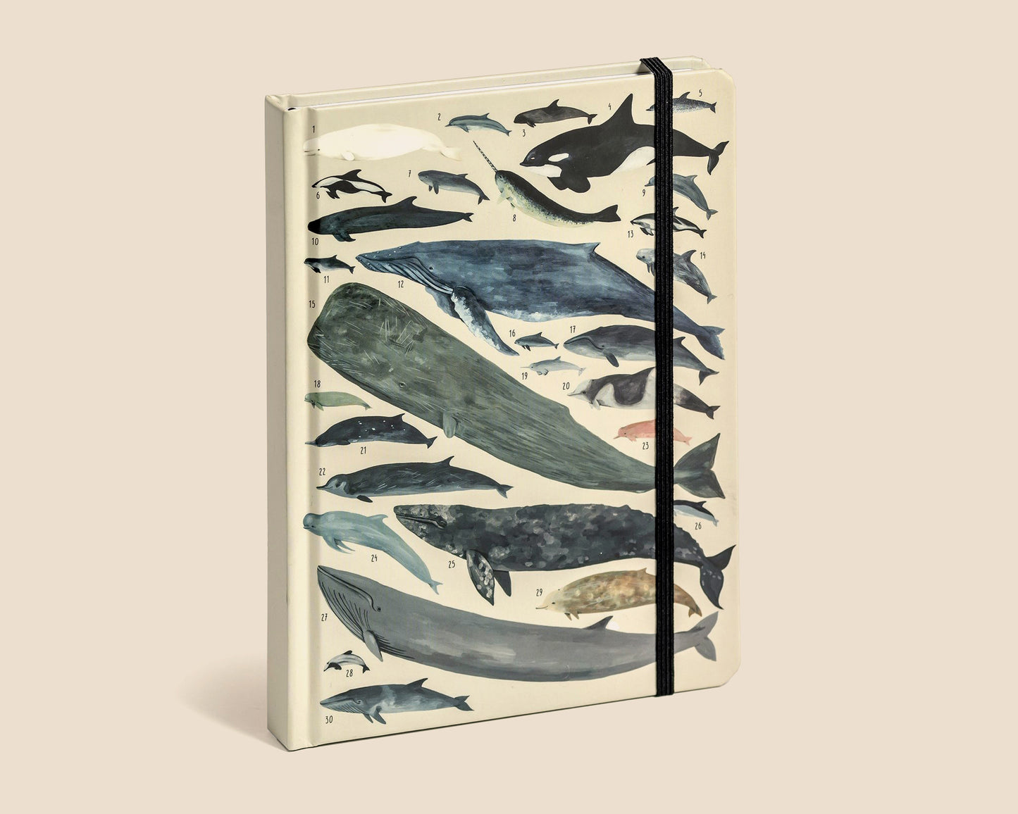 Whales hardcover journal