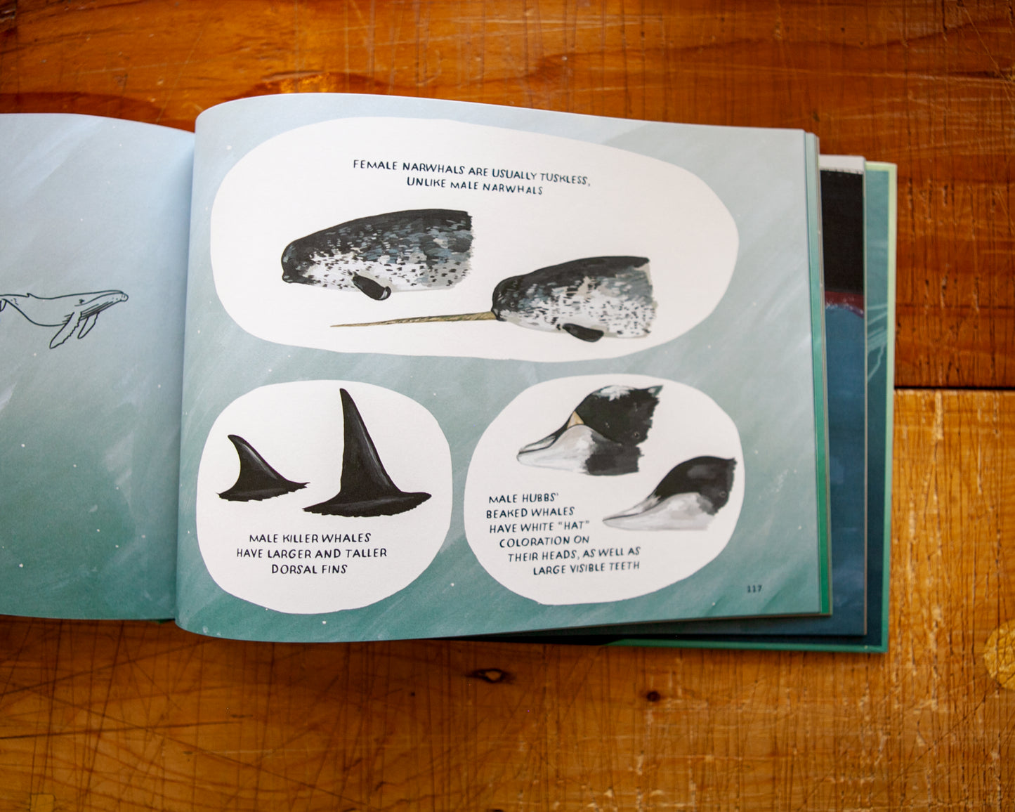 Whales: An Illustrated Celebration (signed copy)