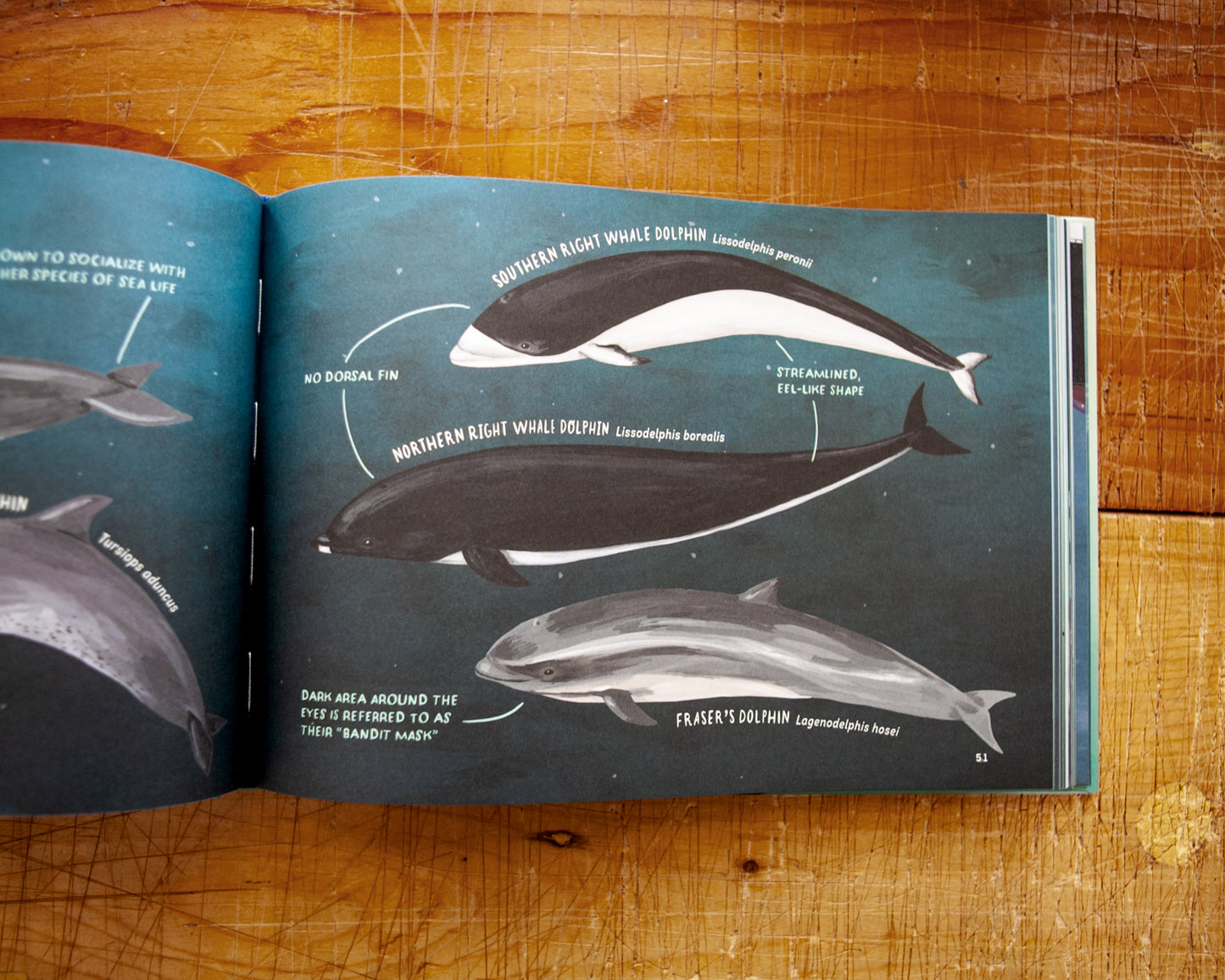 Whales: An Illustrated Celebration (signed copy)