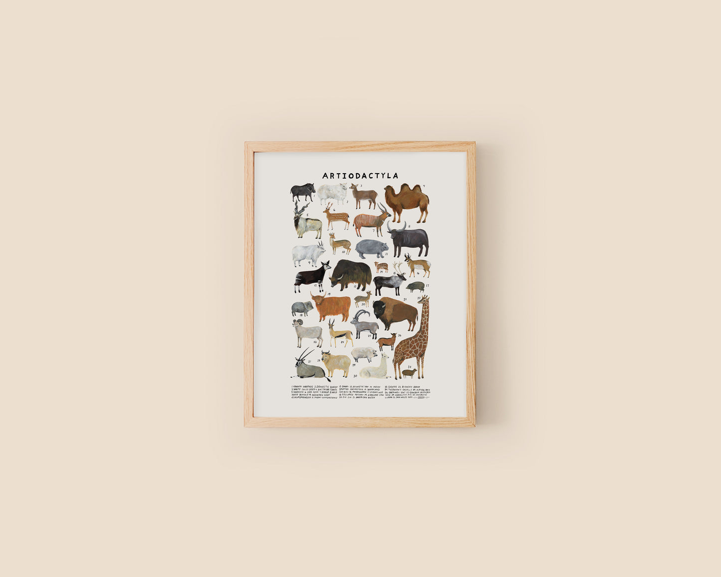 Even-toed ungulates art print- Creatures of the Order Artiodactyla