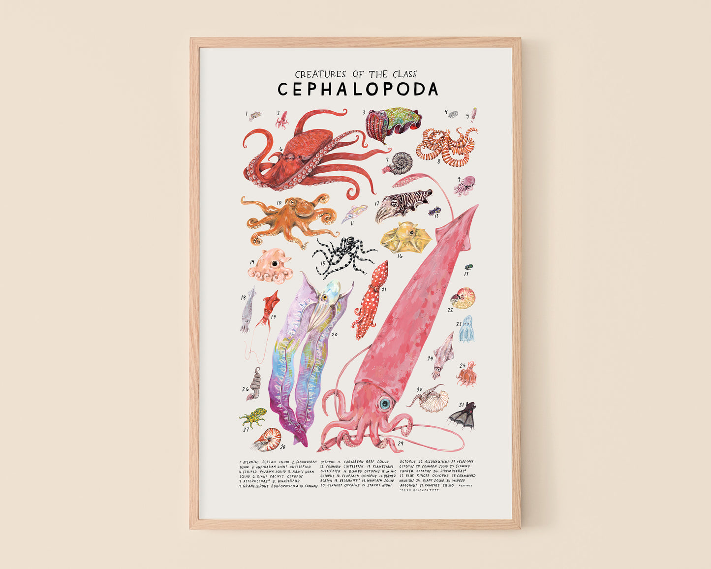 Octopus and squid art print- Creatures of the Class Cephalopoda