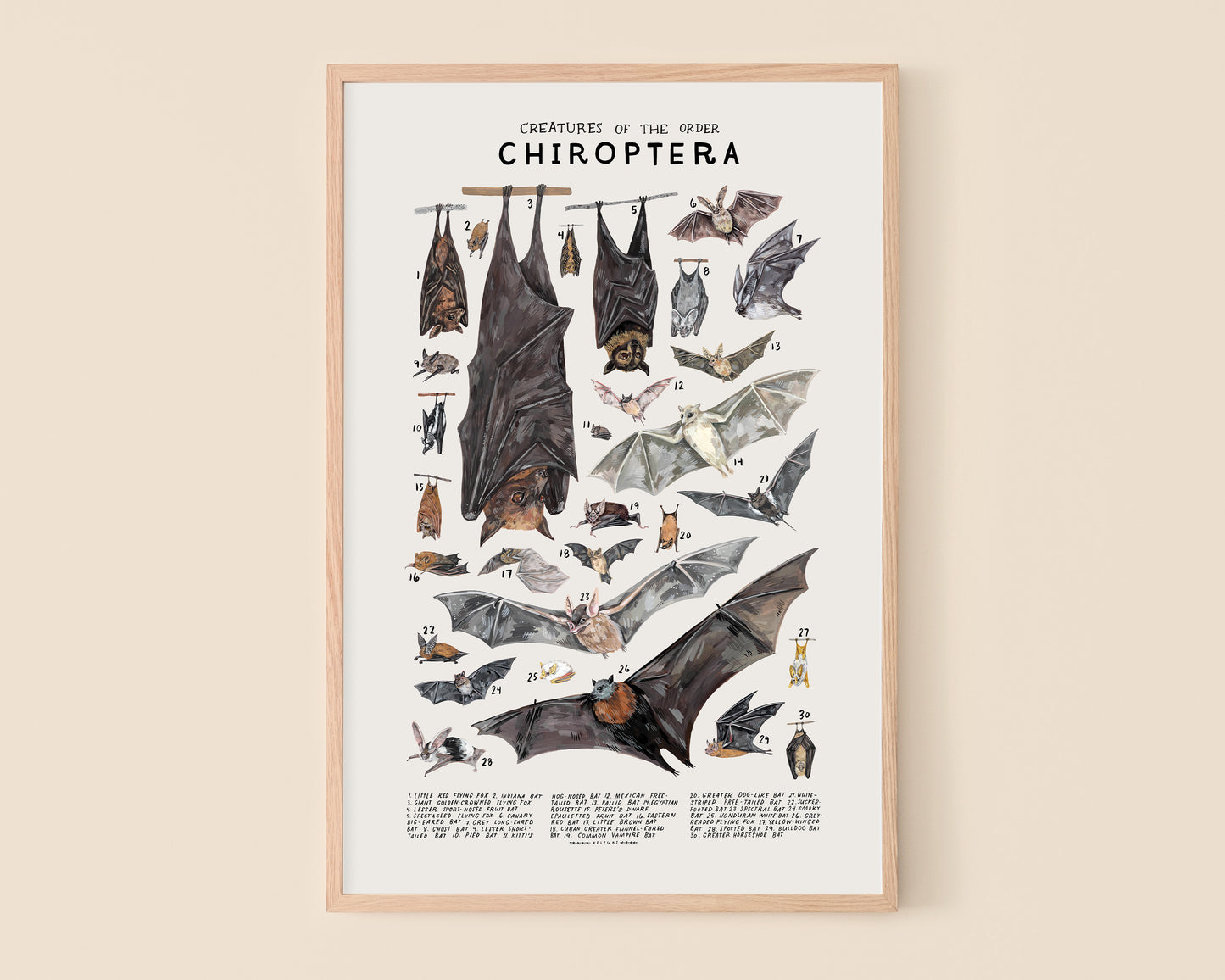 Bats art print- Creatures of the Order Chiroptera