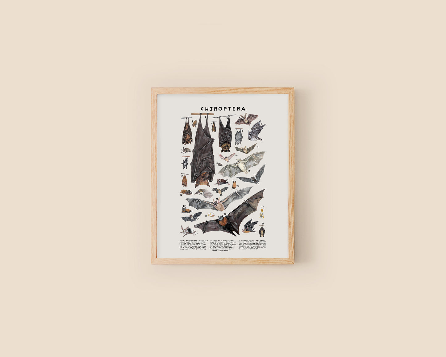 Bats art print- Creatures of the Order Chiroptera