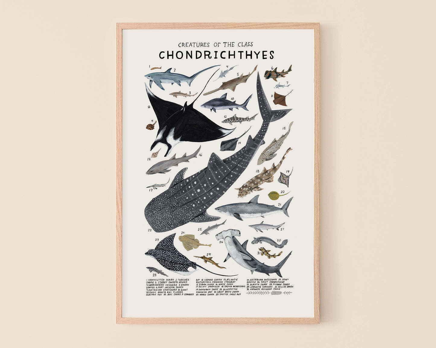 Sharks, skates, and rays art print- Creatures of the Order Chondrichthyes