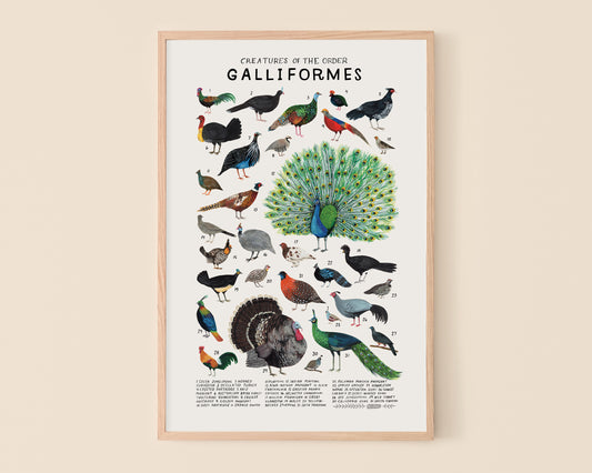 Landfowl art print- Creatures of the Order Galliformes