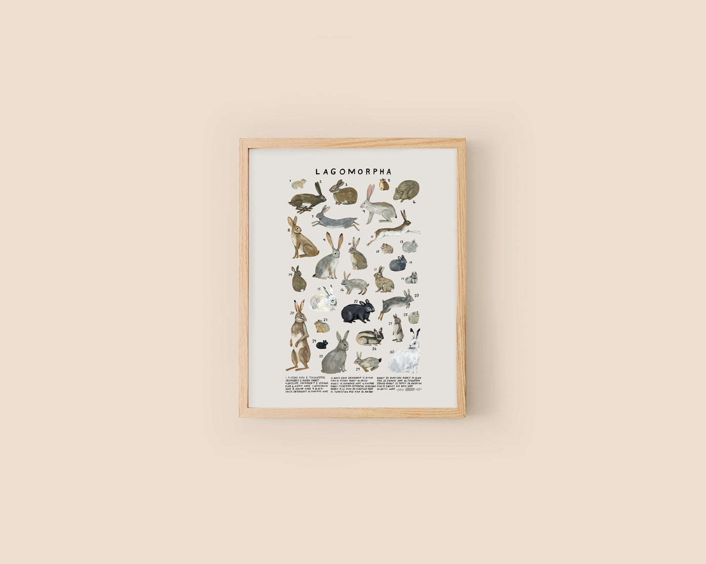 Rabbits, hares and pikas art print- Creatures of the Order Lagomorpha