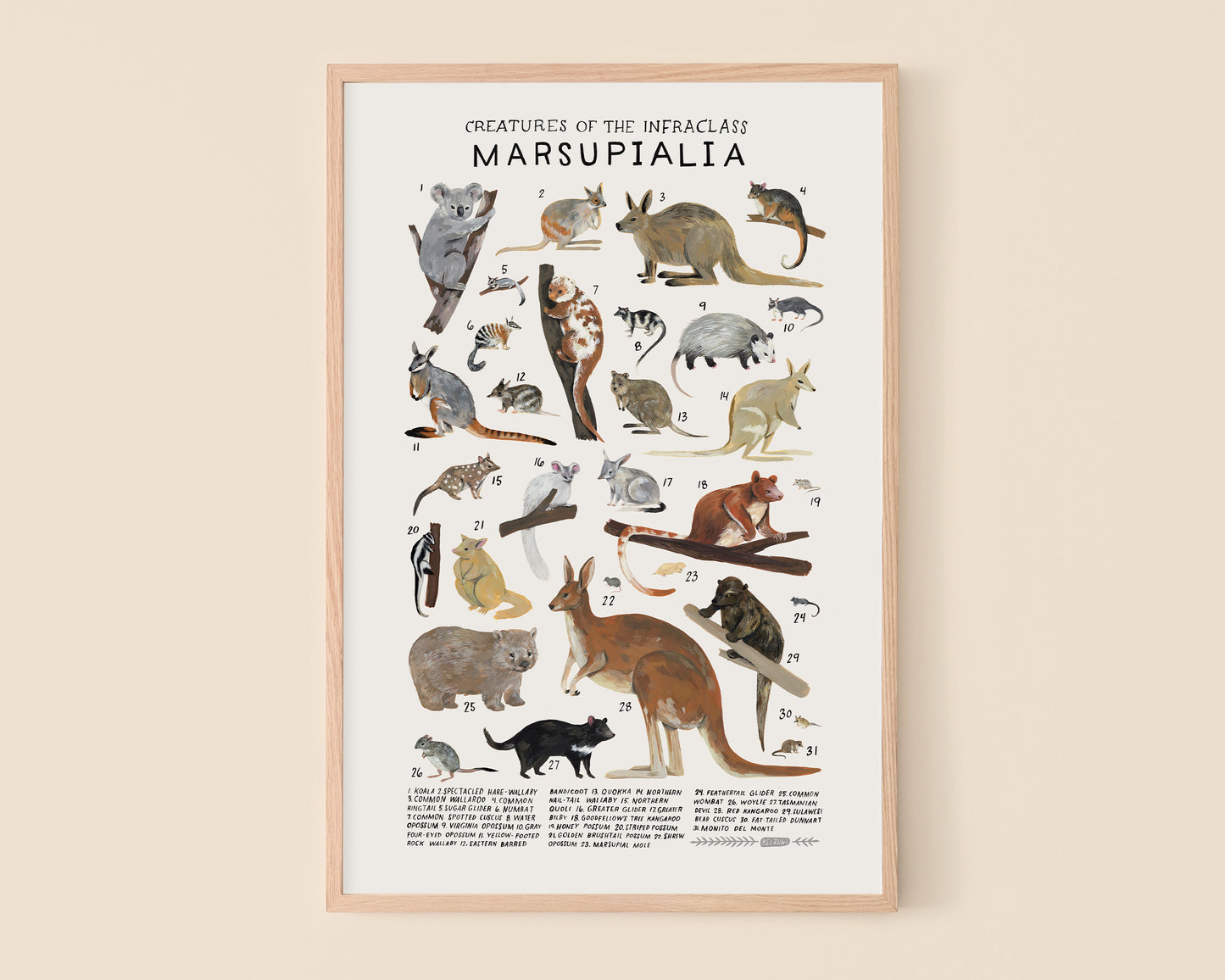 Marsupials art print- Creatures of the Infraclass Marsupialia