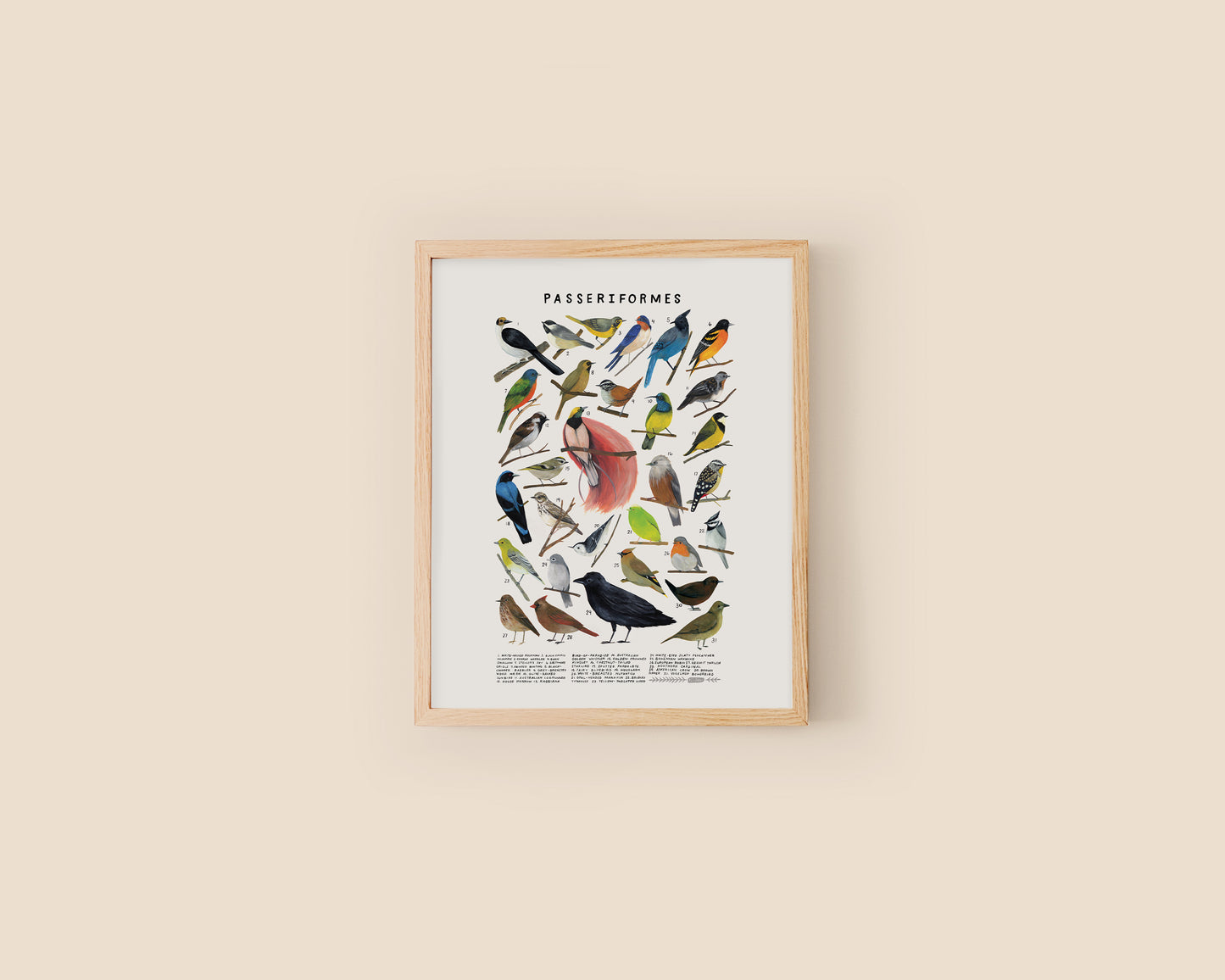 Songbirds art print- Creatures of the Order Passeriformes