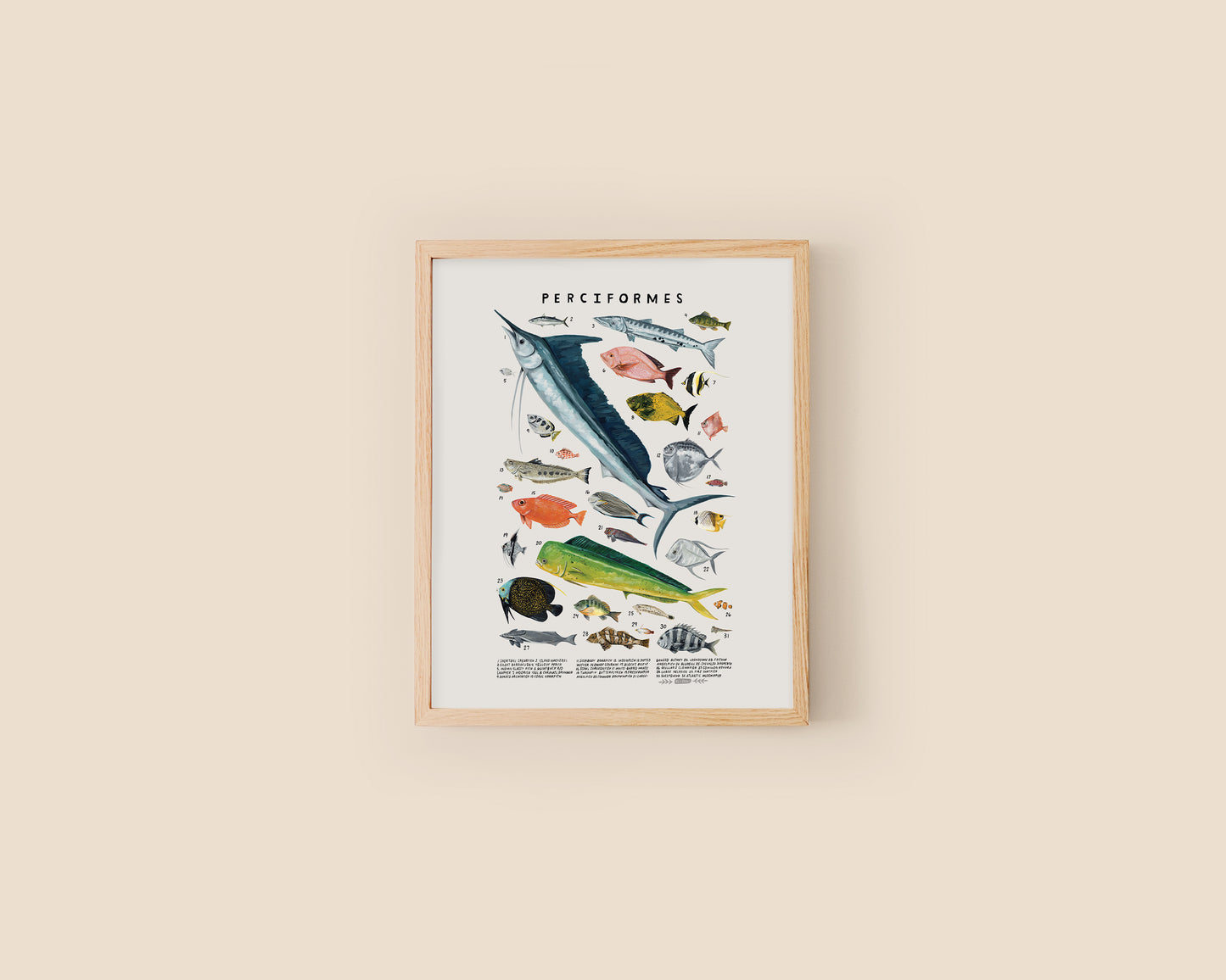 Fish art print- Creatures of the Order Perciformes
