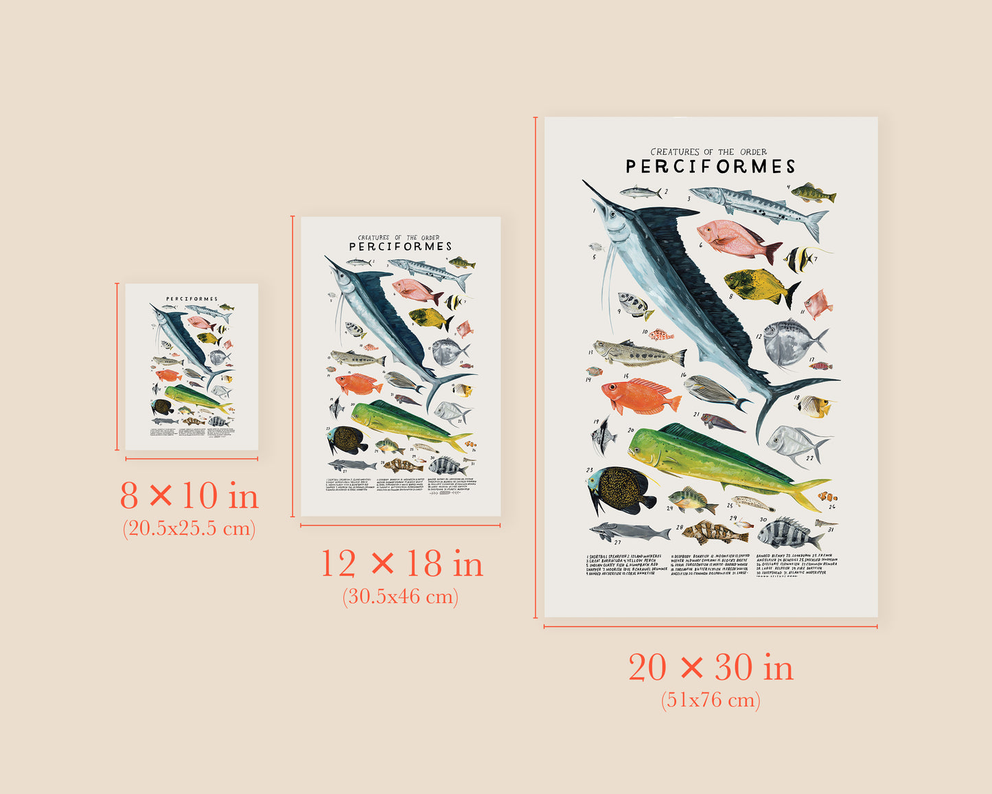 Fish art print- Creatures of the Order Perciformes