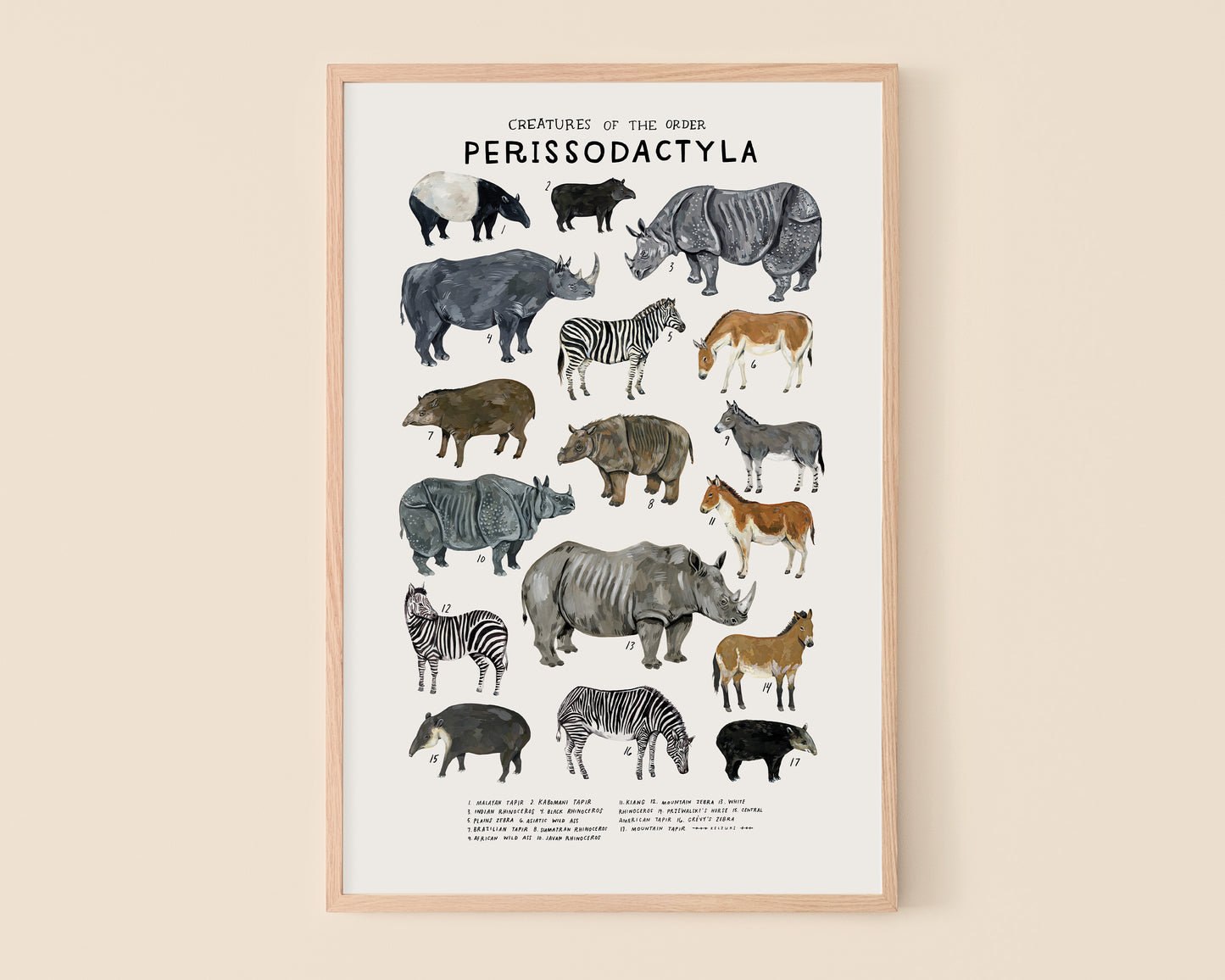 Odd-toed ungulates art print- Creatures of the Order Perissodactyla