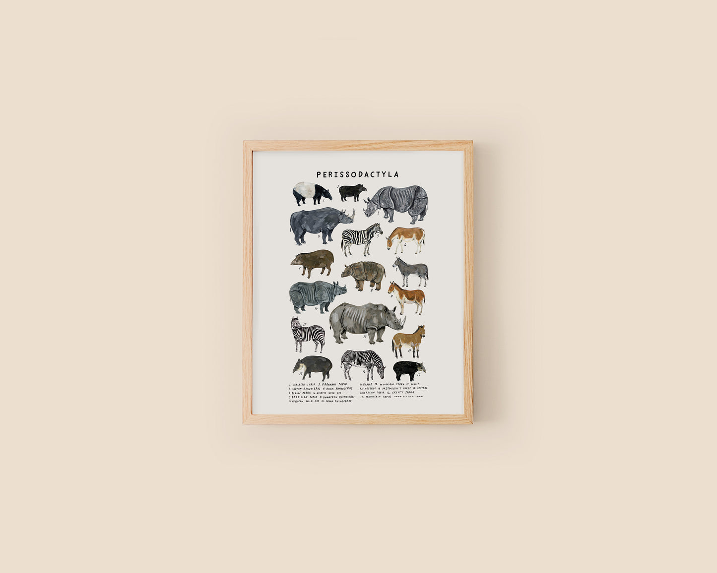Odd-toed ungulates art print- Creatures of the Order Perissodactyla