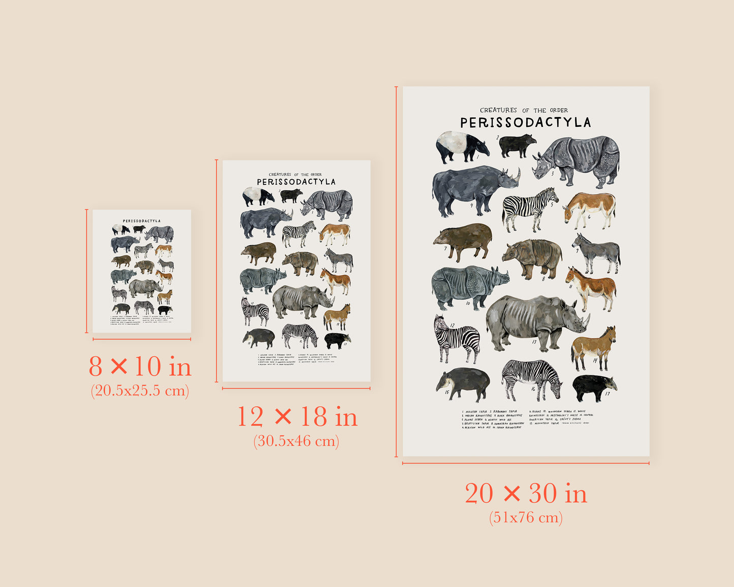 Odd-toed ungulates art print- Creatures of the Order Perissodactyla