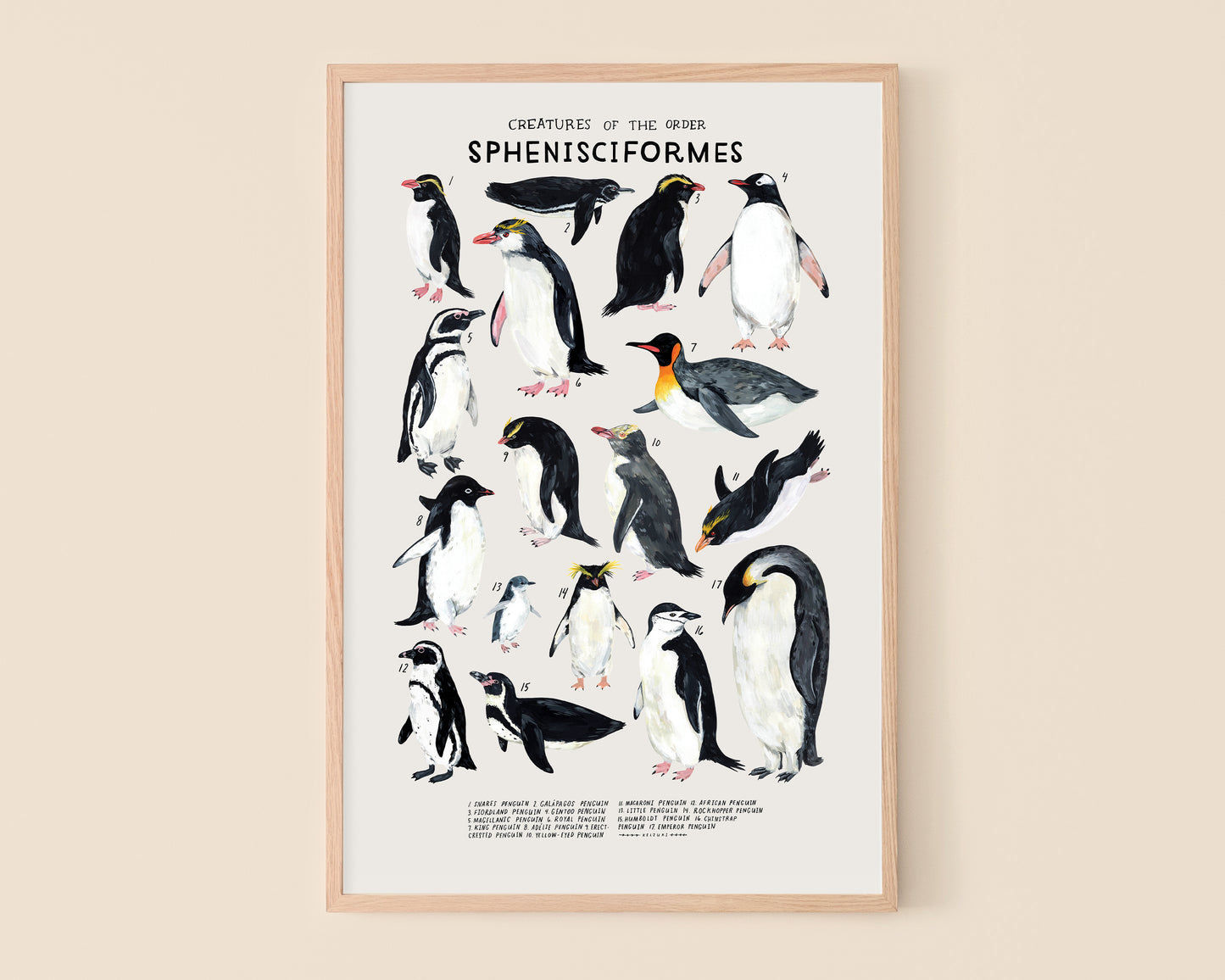 Penguins art print- Creatures of the Order Sphenisciformes