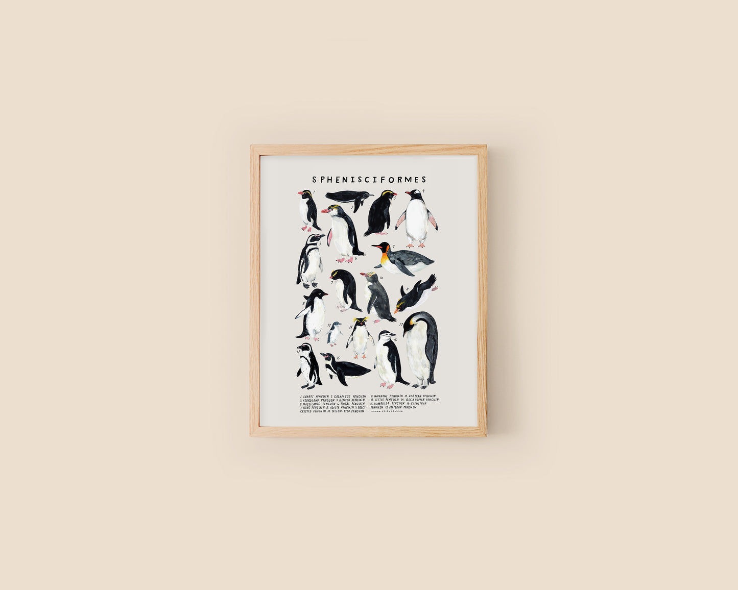 Penguins art print- Creatures of the Order Sphenisciformes