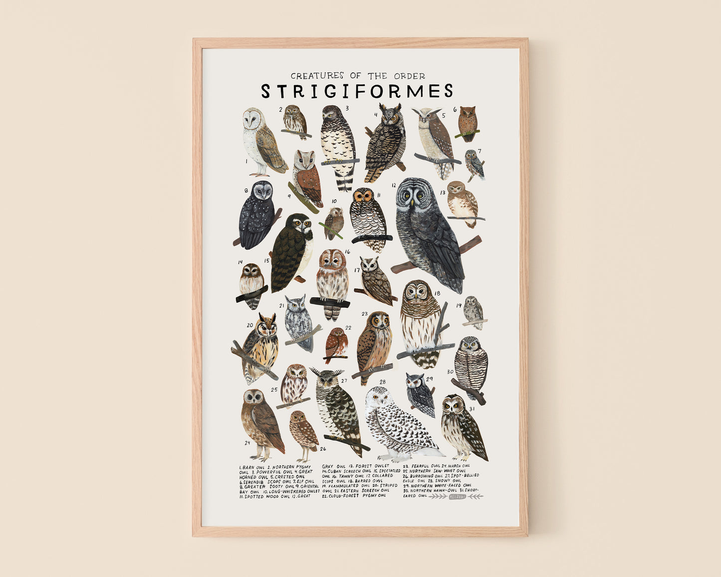 Owls art print- Creatures of the Order Strigiformes