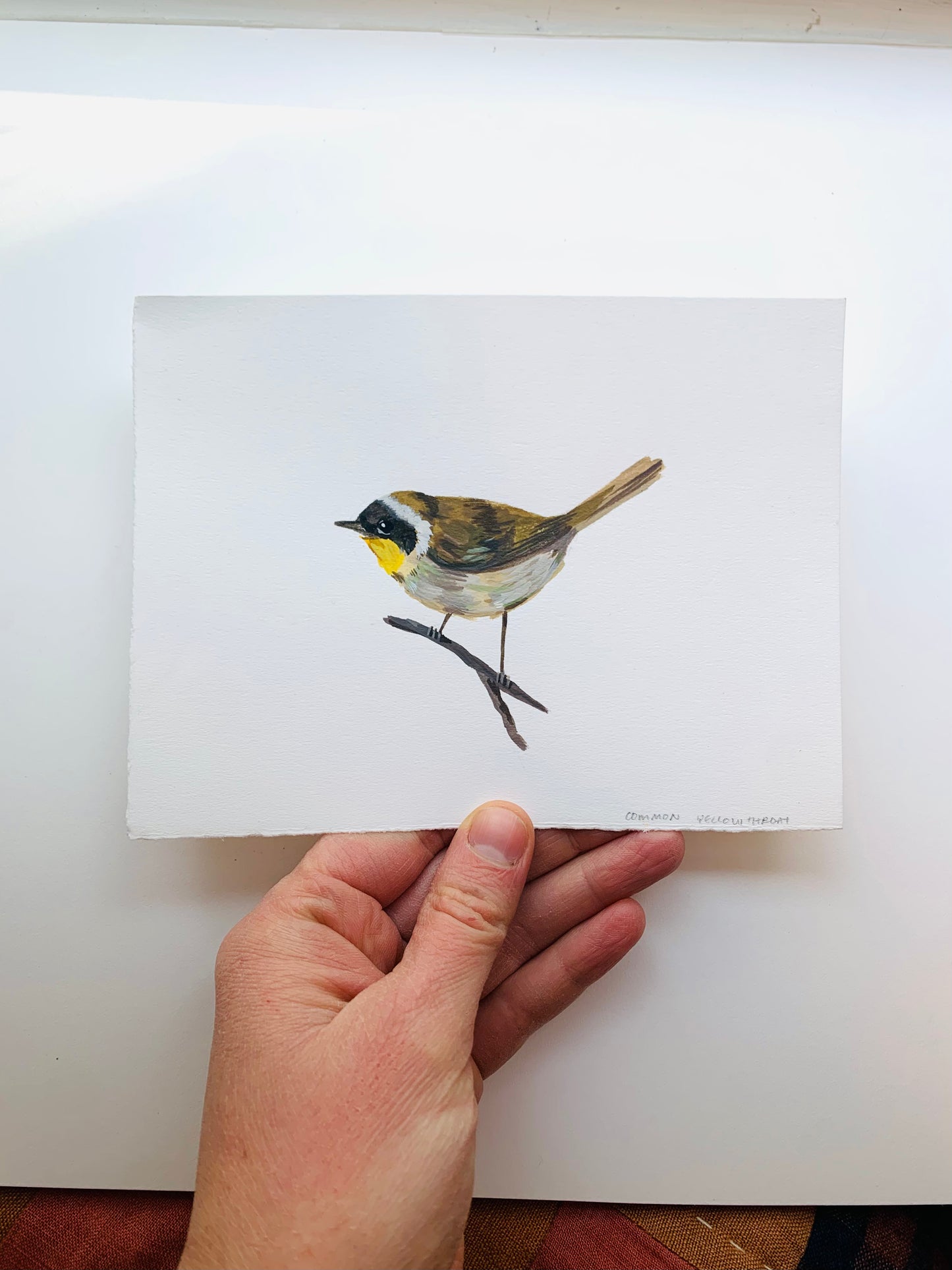 Common yellowthroat- original painting