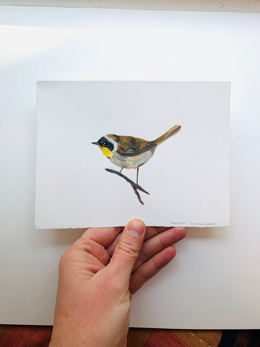 Common yellowthroat- original painting