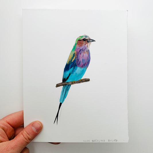 Lilac breasted roller- original painting