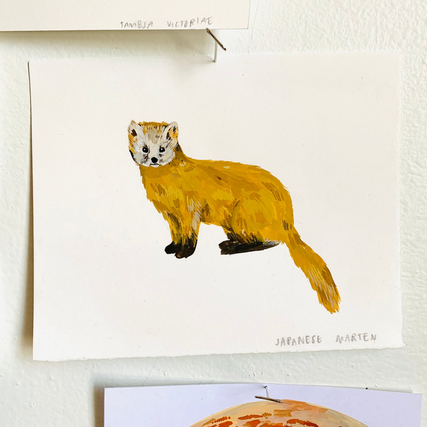 Japanese marten