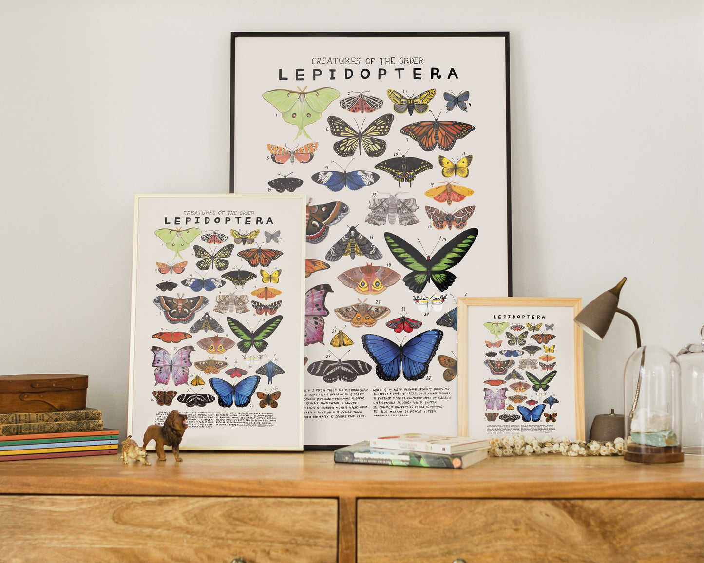 Butterflies and moths art print- Creatures of the Order Lepidoptera