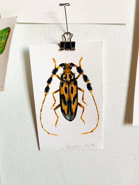 Longhorn beetle