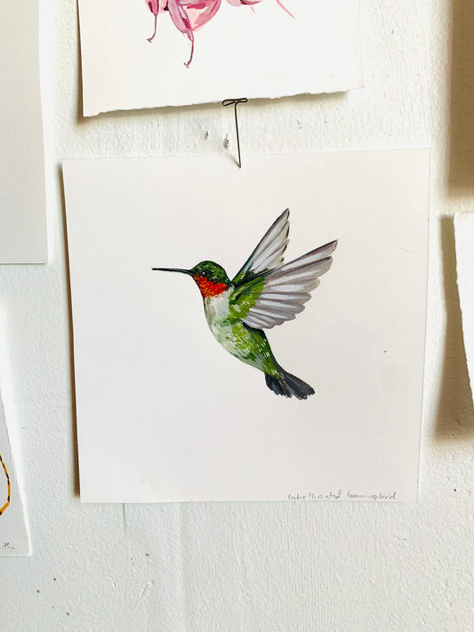 Ruby-throated hummingbird