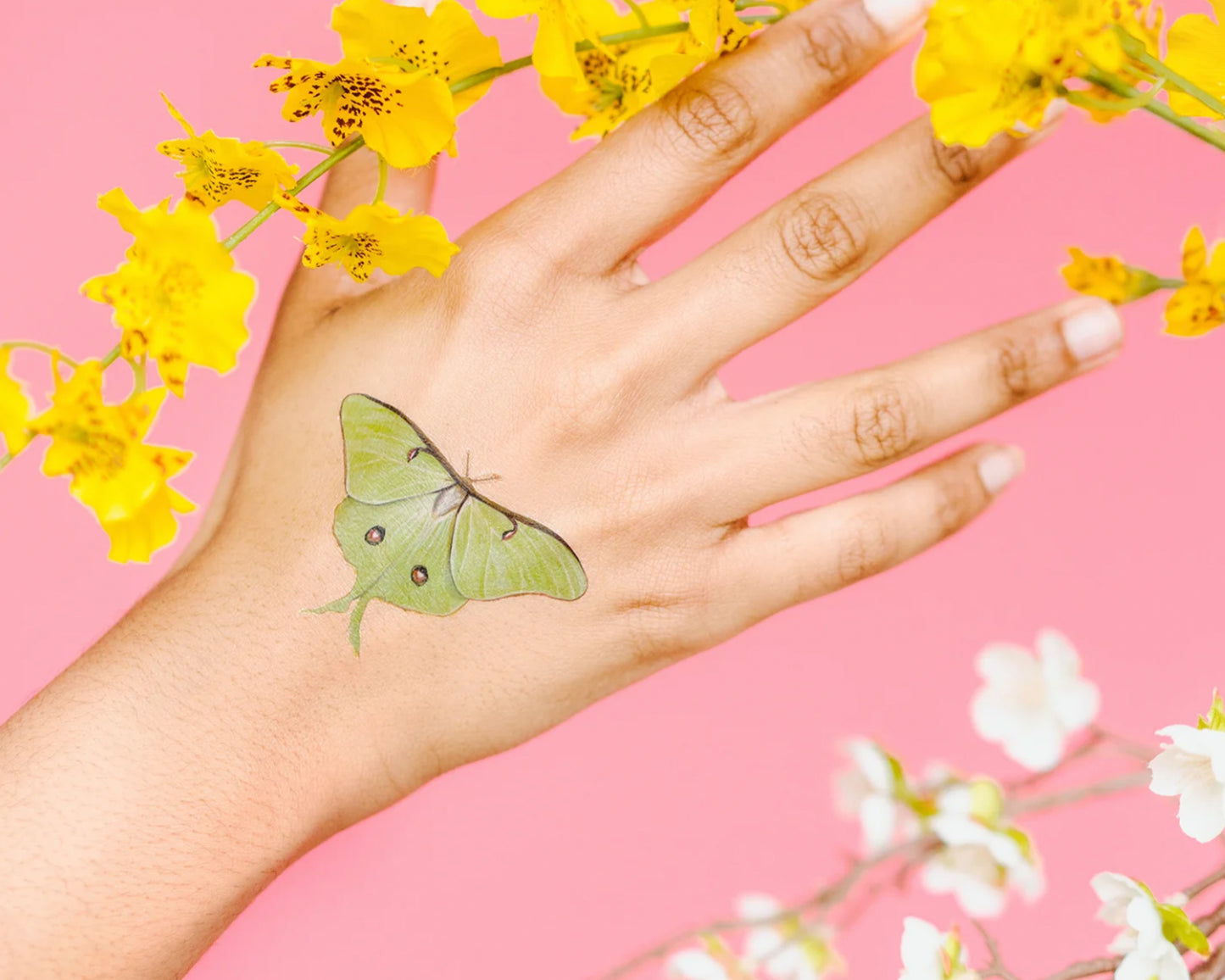 Tiny Butterfly Tattoo Tin