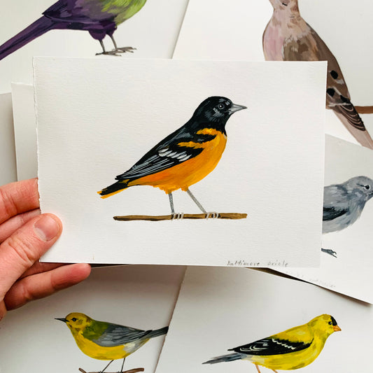 Baltimore oriole- original painting