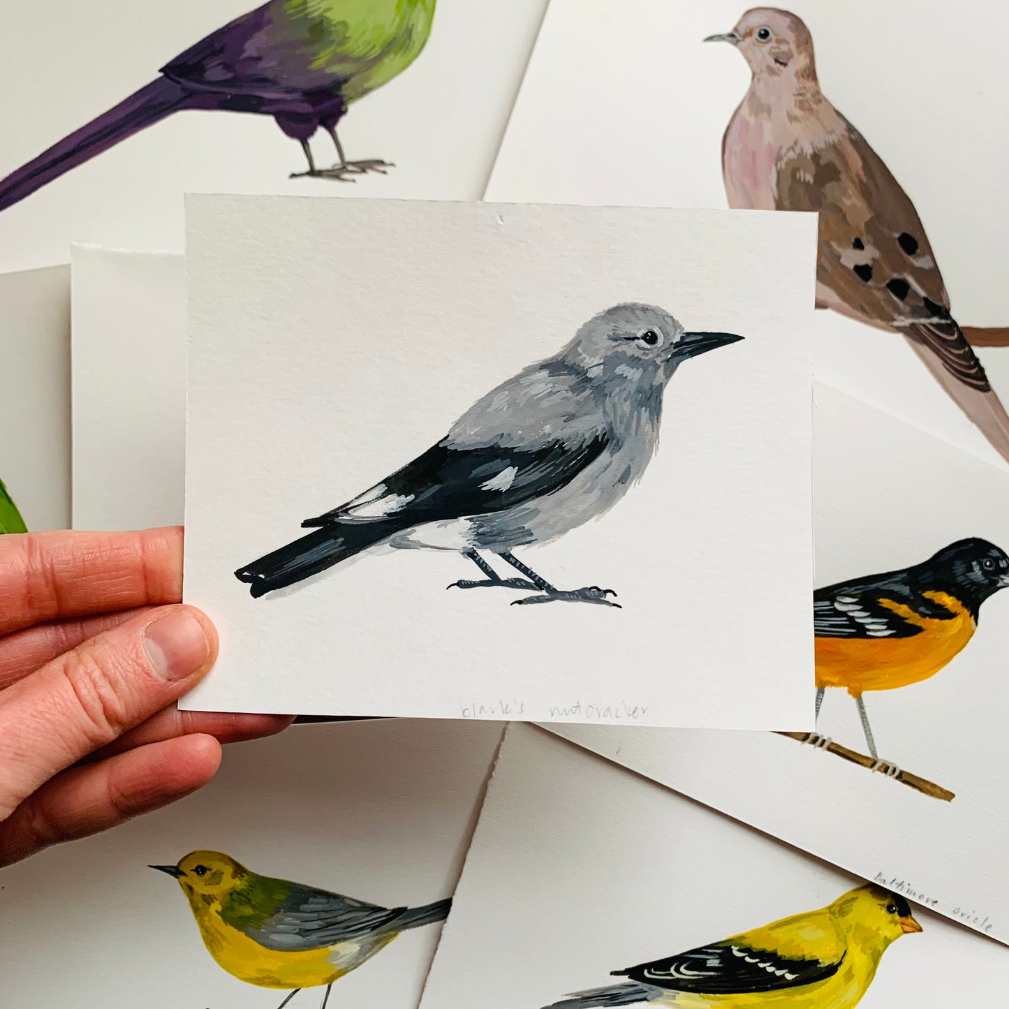 Clark’s nutcracker- original painting