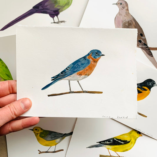 Eastern bluebird- original painting