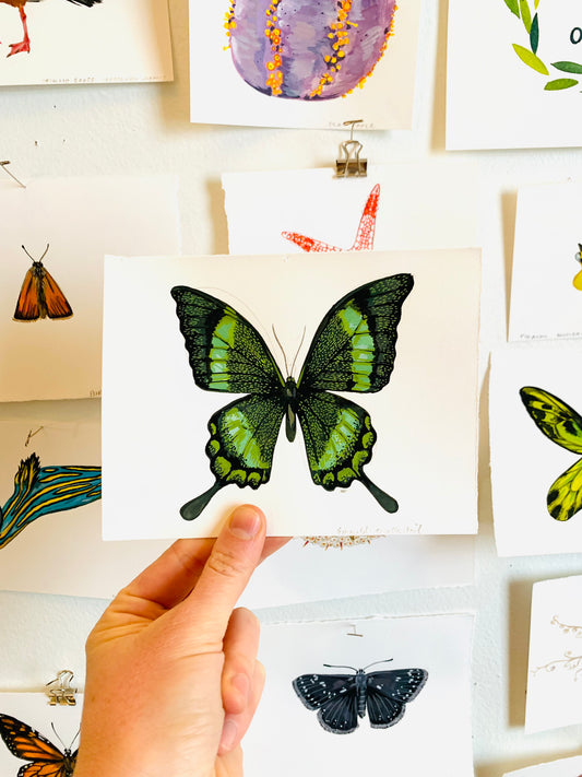 Emerald swallowtail- original painting