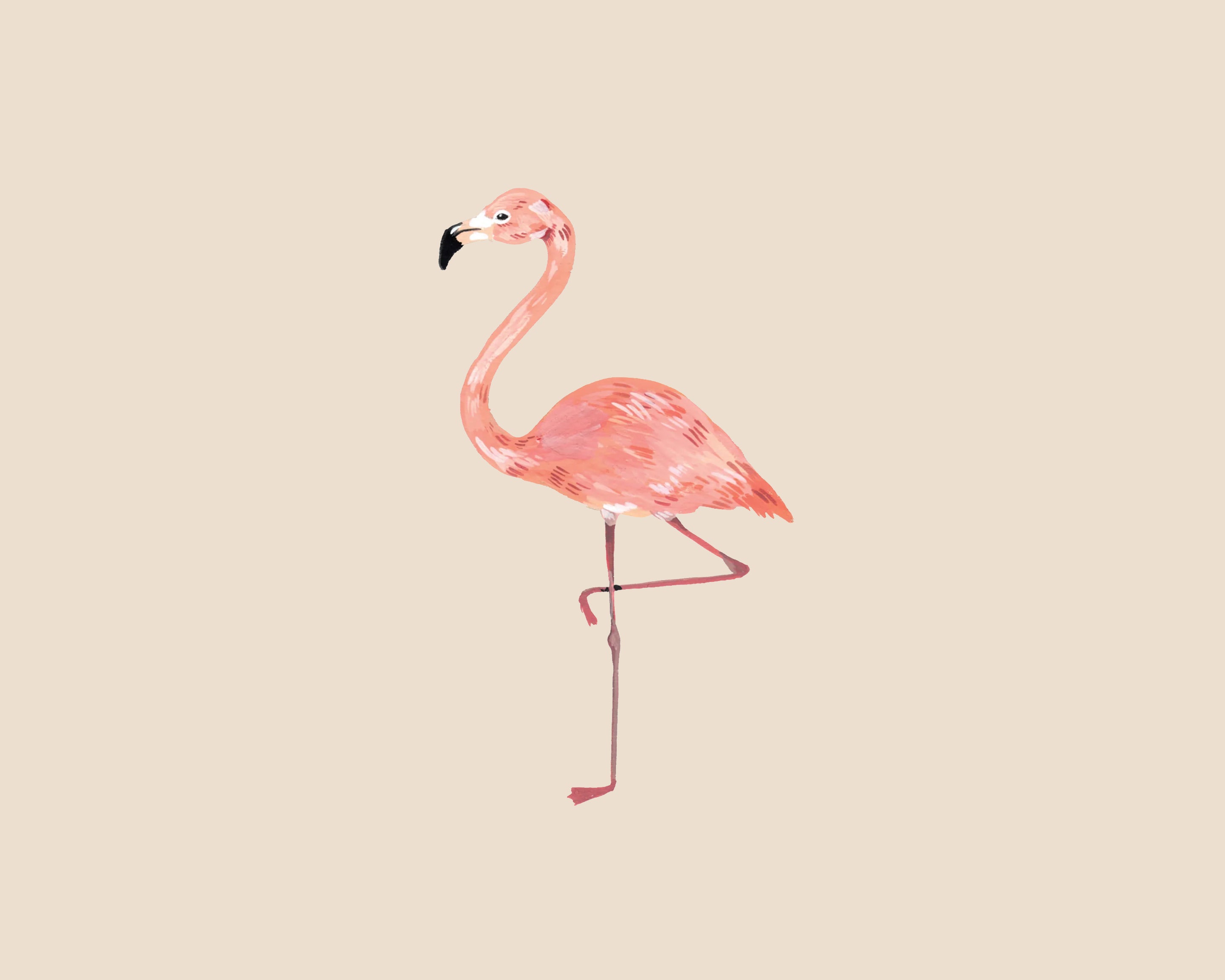 Bird head flamingo tattoo isolated Royalty Free Vector Image