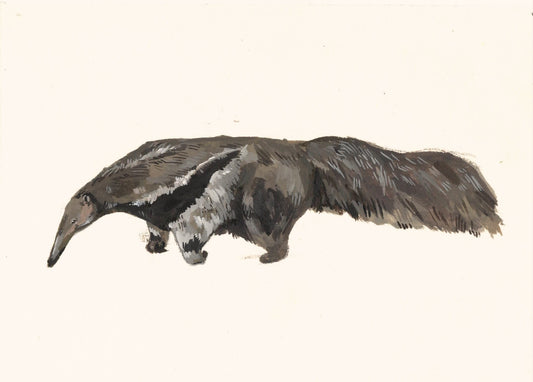 Giant anteater original gouache painting