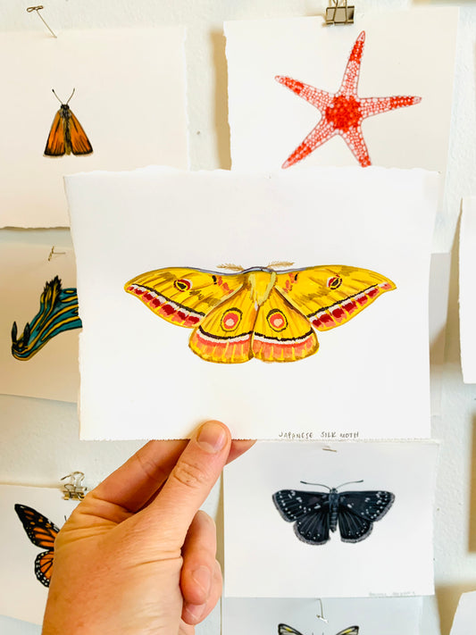 Japanese silk moth- original painting